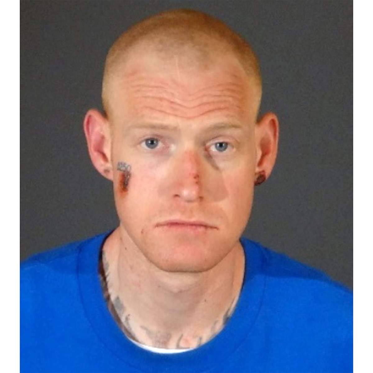 The Los Angeles police department supplied this official mug shot of Redmond O’Neal.