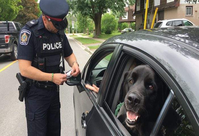 Peterborough Police Sgt. Peter Sejrup hands a motorist a ticket for travelling eight kilometres over the posted limit. 