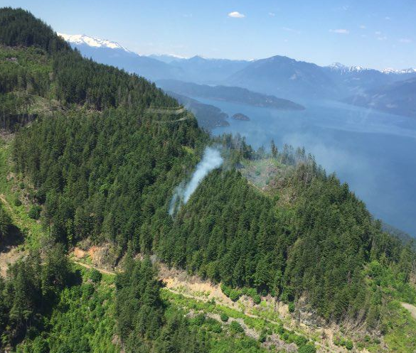 The BC Wildfire Service provided this photo of the wildfire burning in the Harrison Lake area.