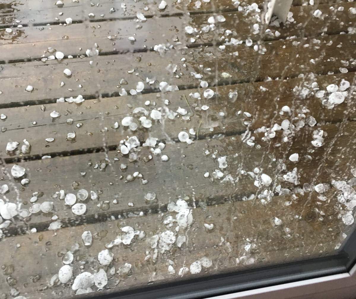 Strong gusts, large hail reported as thunderstorms roll through London region - image
