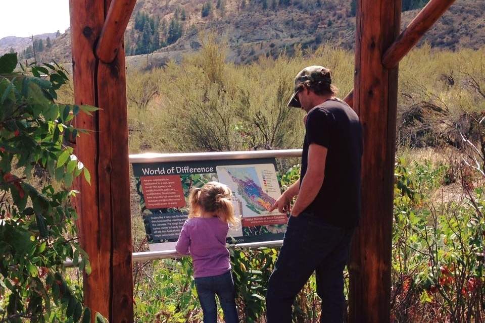 ‘Help us save Canada’s desert’: fundraising campaign launched in Osoyoos - image
