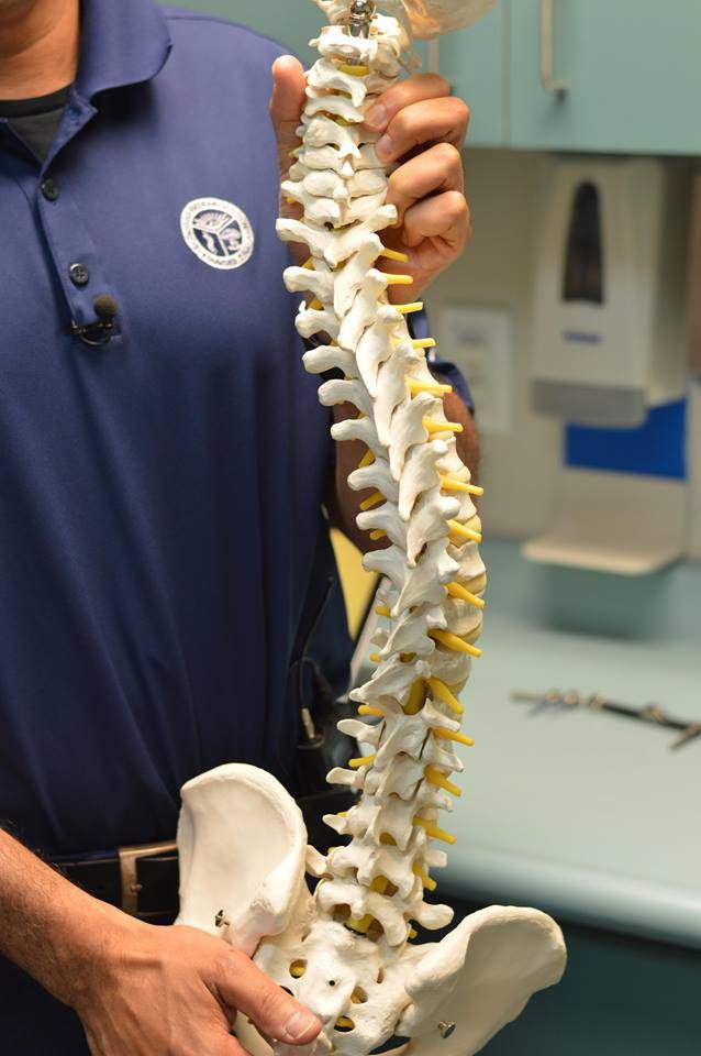 Dr. Ron El-Hawary uses a model to show what scoliosis can do to a human spine.