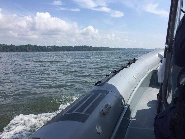 Stoney Creek Coun. Brad Clark's motion calls for the public to be notified within 24 hours of any untreated or partially treated sewage released into Hamilton Harbour.