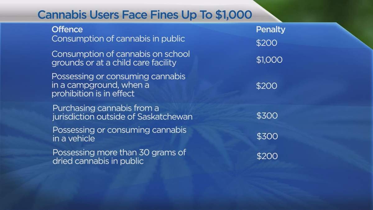 Cannabis users could face a $1000 fine for consuming on school grounds, or at a daycare centre.