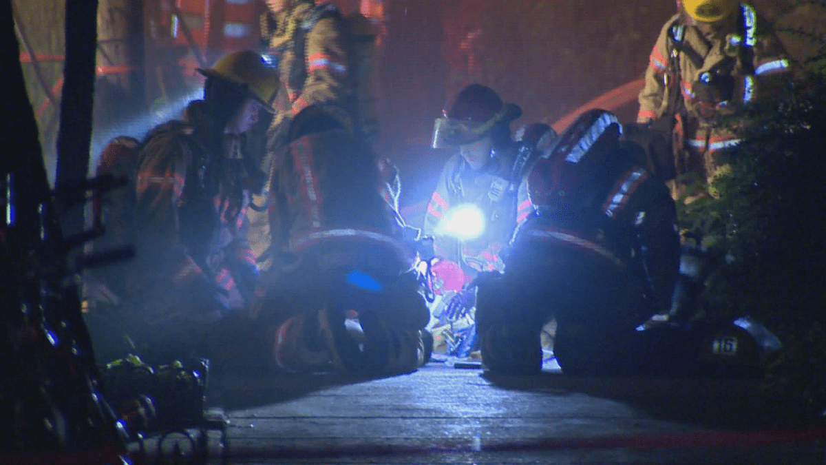 An early morning fire in the Plateau sent one woman to hospital and tore through an apartment building.
26 July 2018.