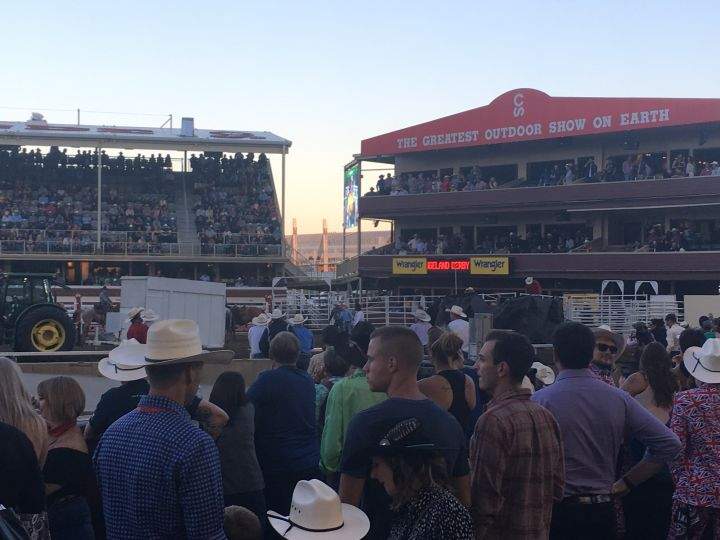 Calgary Stampede officials attend to an injured horse on July 11, 2018. The horse was later euthanized.