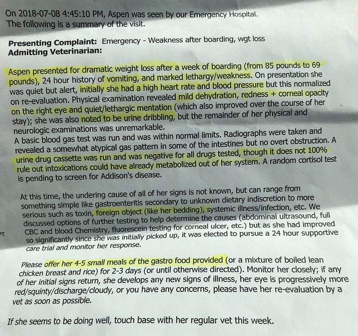 The emergency vet’s diagnosis of Aspen.