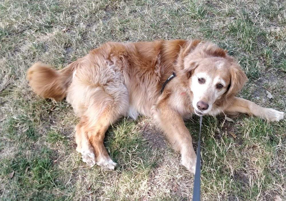 Copper, photographed a day before he was attacked in a stabbing in Kitsilano.