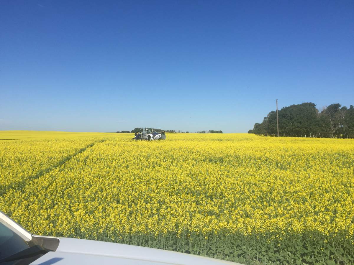 RCMP say the crash occurred around 8:15 the morning of July 10, 2018