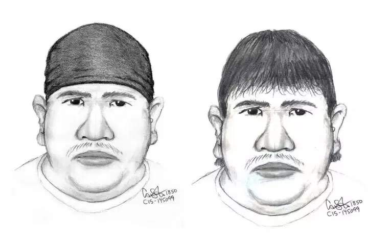 Police released this sketch of a possible suspect in the disappearance Thelma Krull in 2017.
