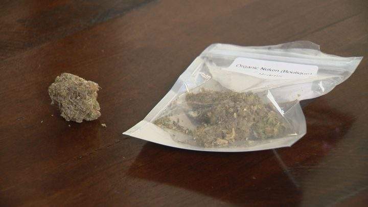 Medical marijuana users fear impaired driving laws once cannabis is legal - image