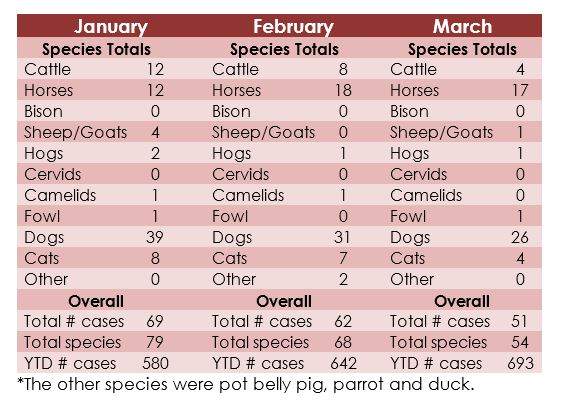 Animal welfare complaints, investigations on the rise in Saskatchewan - image