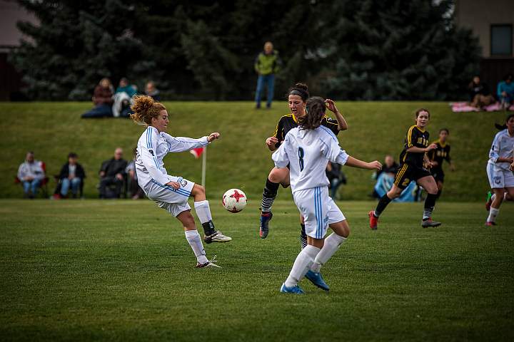 Payden Olsen, Lethbridge Kodiaks