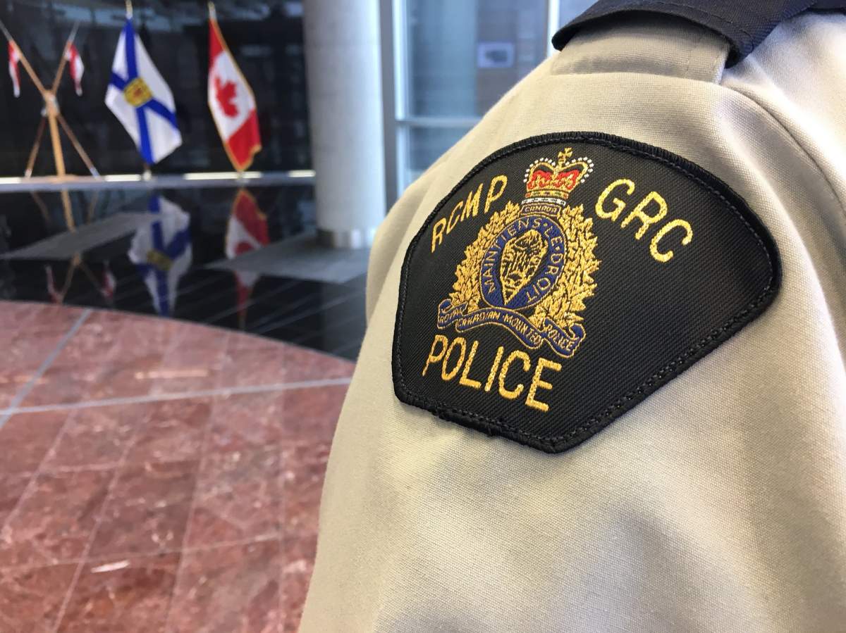 3 long guns stolen from East Gore, N.S. home - image