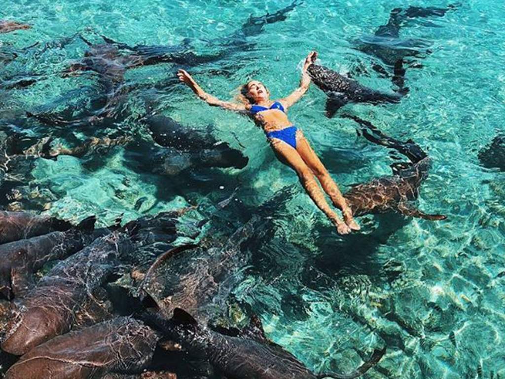 In the image, a shark can be seen biting down on the woman's wrist seconds before pulling her underwater.