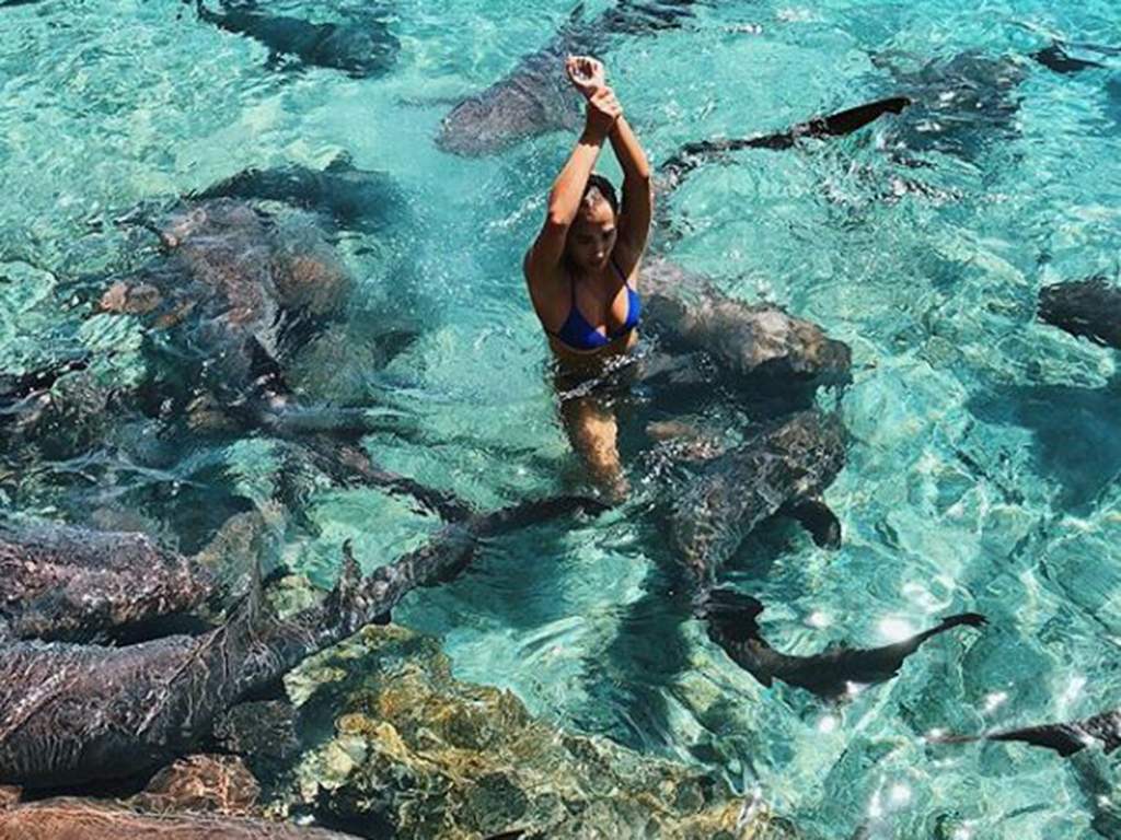 After wrenching her wrist free from the shark, she exited calmly with her arm in the air so that no dripping blood would attract other sharks.