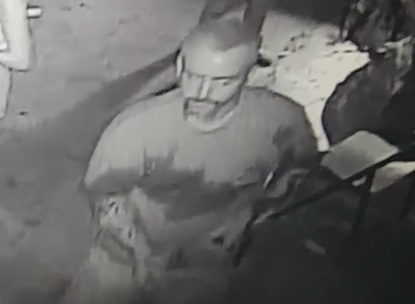 Surveillance footage shows the suspect in the theft of a horn shark from the San Antonio Aquarium.