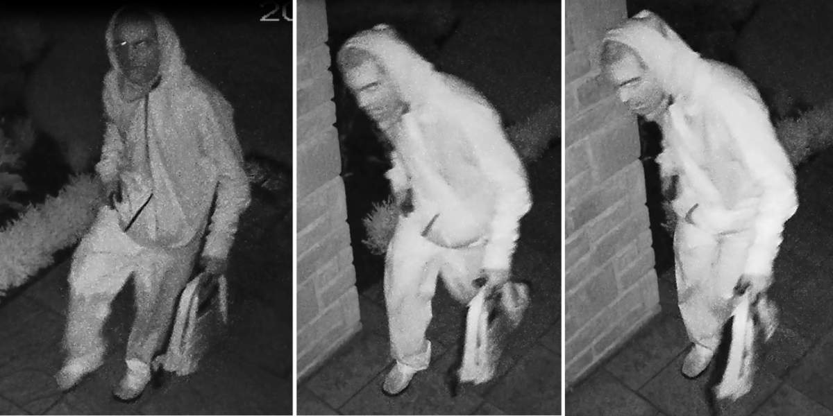 Halton police investigating vehicle thefts in Oakville - image