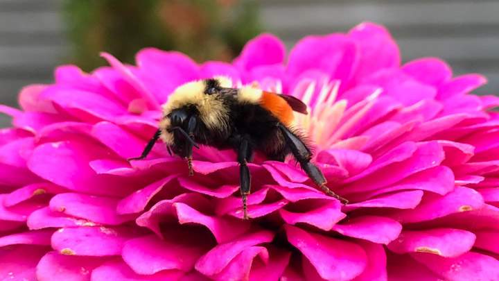 The Your Saskatchewan photo for August 16 was taken in Saskatoon by Tammy Ollenberg.