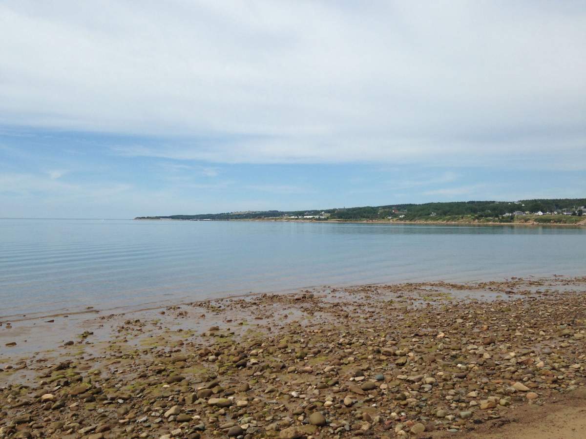 FILE - A family of five, including four young children, was rescued from the waters off Cape Breton Wednesday evening.