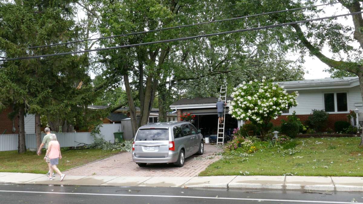 Heavy rain and strong winds have brought down branches and trees in the West Island.
