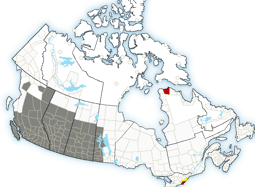 Air quality advisories have been creeping east, with Environment Canada even issuing some in Manitoba due to the B.C. wildfires.