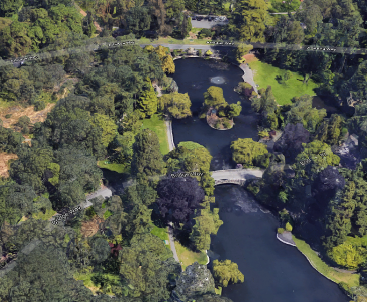 The most recent indecent exposure incident happened on Thursday in Beacon Hill Park. 