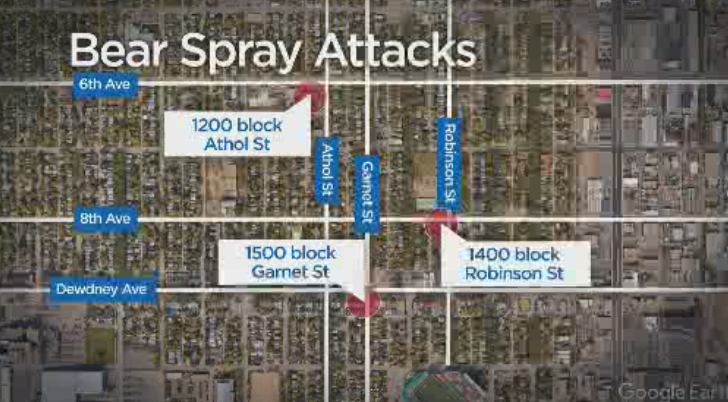 Regina Police investigate bear spray attacks in North Central - image