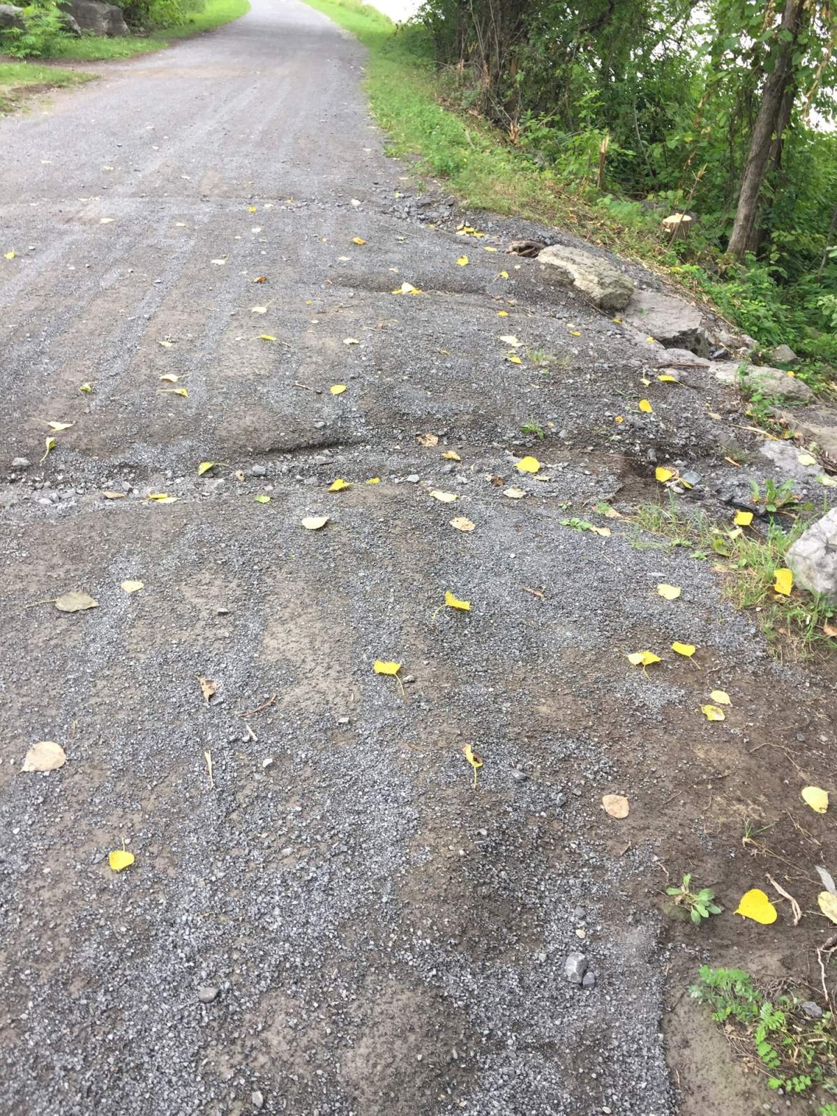 Last week’s heavy rainfall washed out and eroded a 120-metre section of the Ottawa River Pathway near the Blair Road Boat Launch in Rockcliffe, the NCC said.