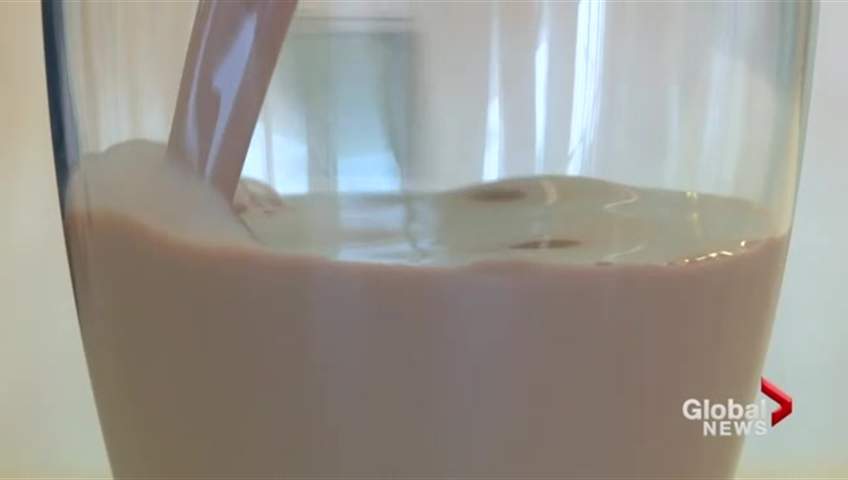 Chocolate milk is back on the menu at New Brunswick schools.