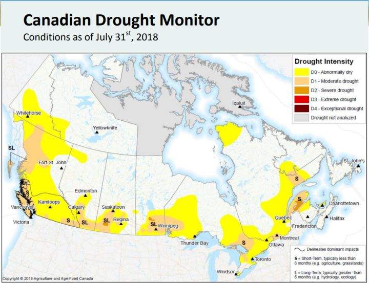 Feed prices for cattle climb as pasture and hay fields fall short in hot, dry weather - image