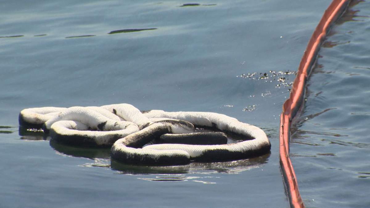 A device known as a "sock" collects oil from Halifax Harbour next to Dartmouth, N.S., on Aug. 3, 2018.