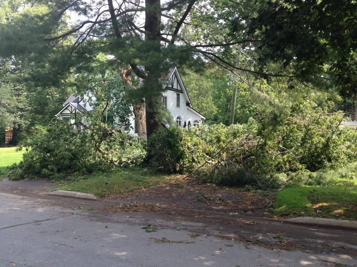 Fredericton cleaning up after storm downs trees, causes power outages - image