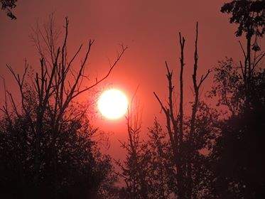 The sun in a very smokey Prince George. Credit: Colleen Hutton.