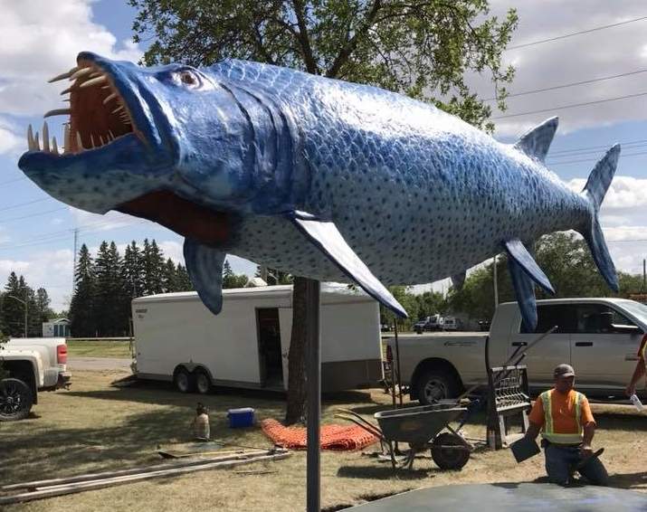 Morden's new Xiphactinus statue.