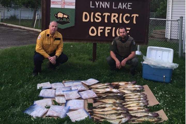 122 walleye were confiscated by MCOA.