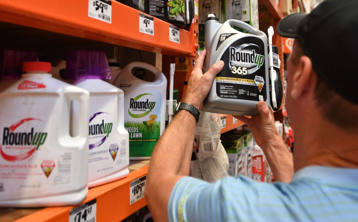 Customer Gary Harms shops for Roundup products at a store in San Rafael, Calif., on July 9, 2018.