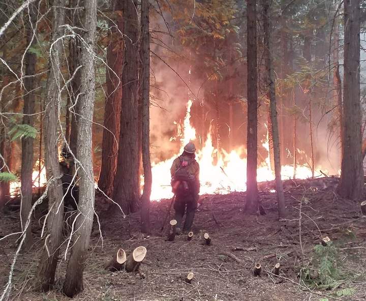 A U.S. firefighter holds the line against the Horns Mountain / Santa Rosa wildfire that’s burning in Washington state and B.C.