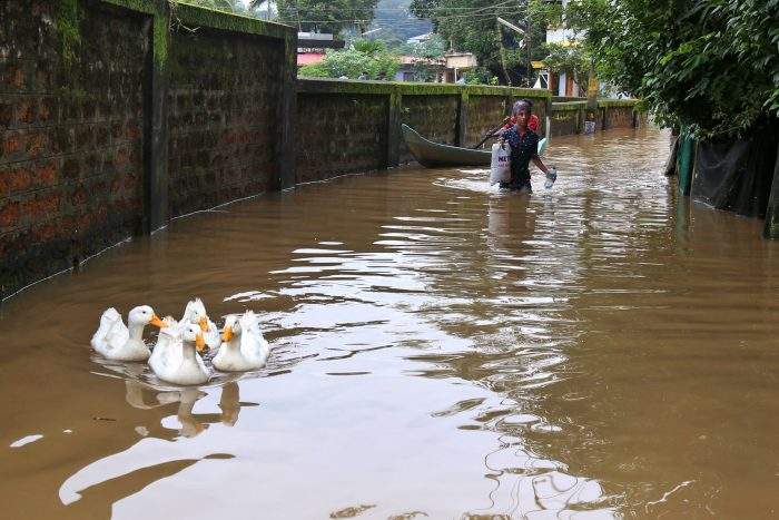 People wade through a flooded street as a flock of birds float in the water in Kochi, Kerala state, India, on Aug. 10, 2018.