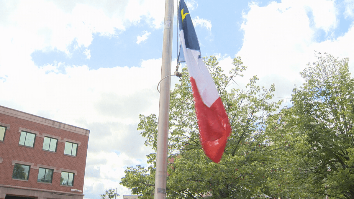 New Brunswickers show off Acadian colours for National Acadian Day - image
