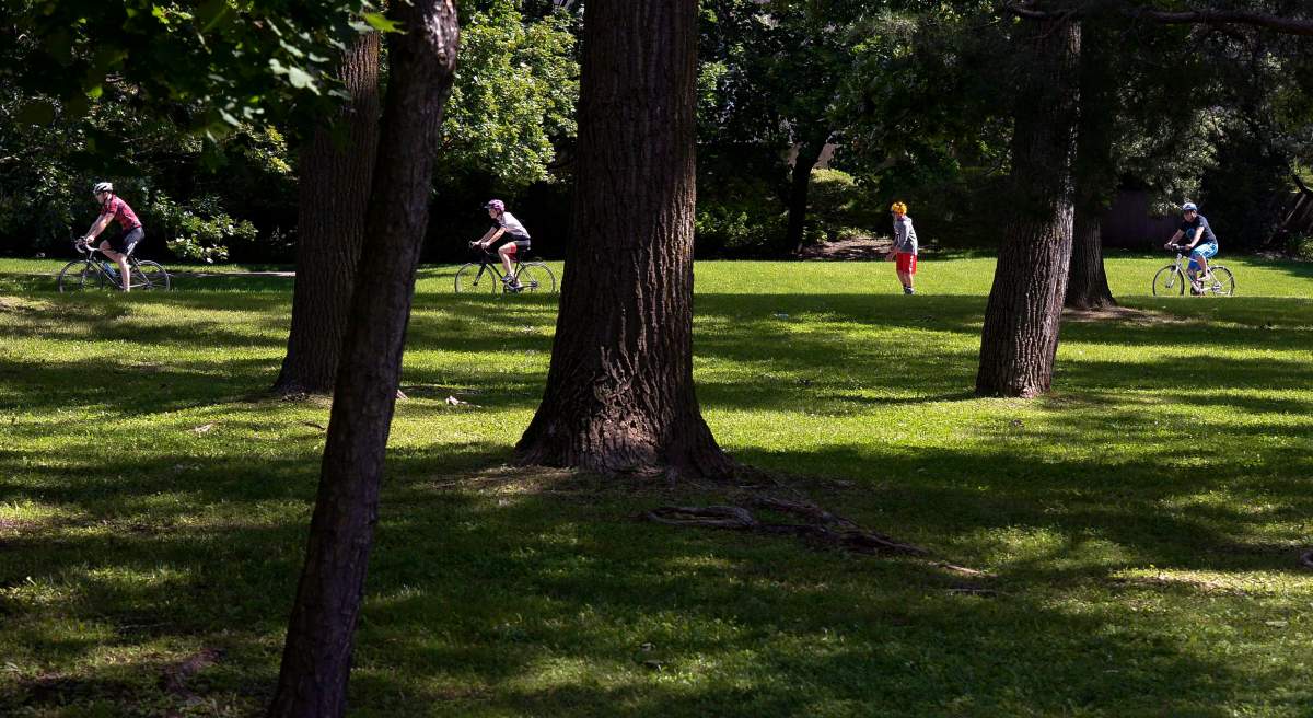 Ottawa city council is considering a three-year "park-and-cycle" pilot project in Andrew Haydon Park.
