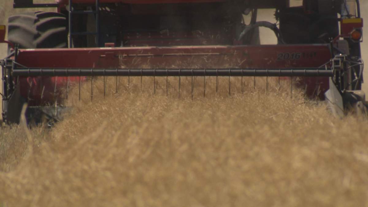 Saskatchewan farmers have officially started harvest, and crops extensions specialist Matthew Struthers expects many more to follow in the coming days. 