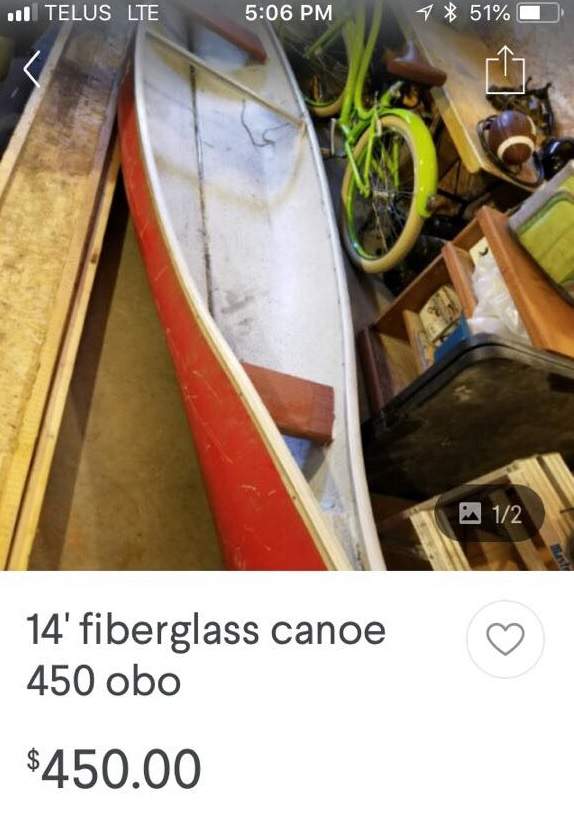 Members of the Nordale Accessible Nature Playground group believe their canoe was sold in this ad.
