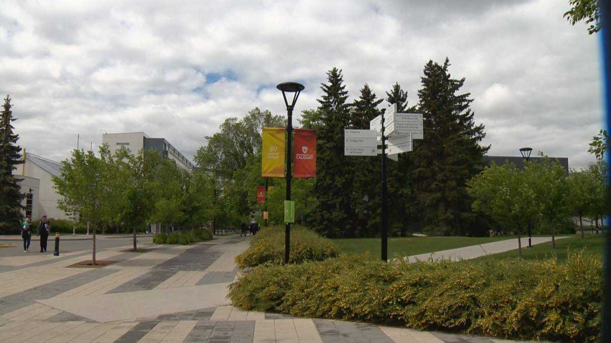 File: The University of Calgary.