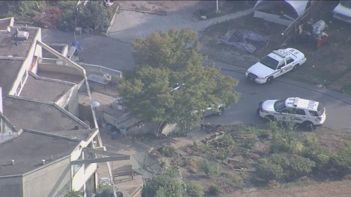 Police arrested 11 people after surrounding this home in Maple Ridge. 