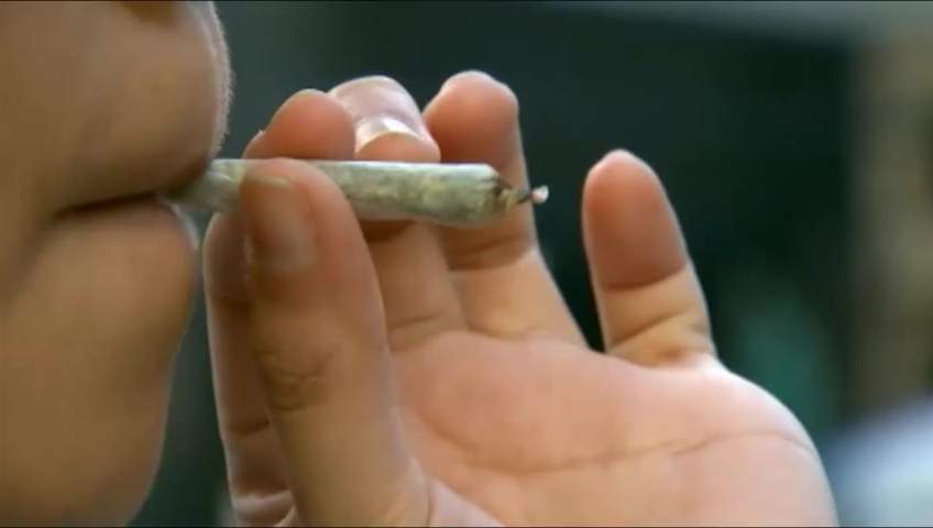 Recreational cannabis use will not be permitted at Trent University or Fleming College.