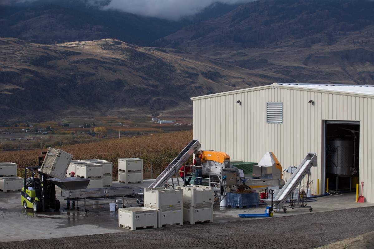 A 72,000 sq.ft. winery is being built on the Black Sage Bench south of Oliver, B.C.