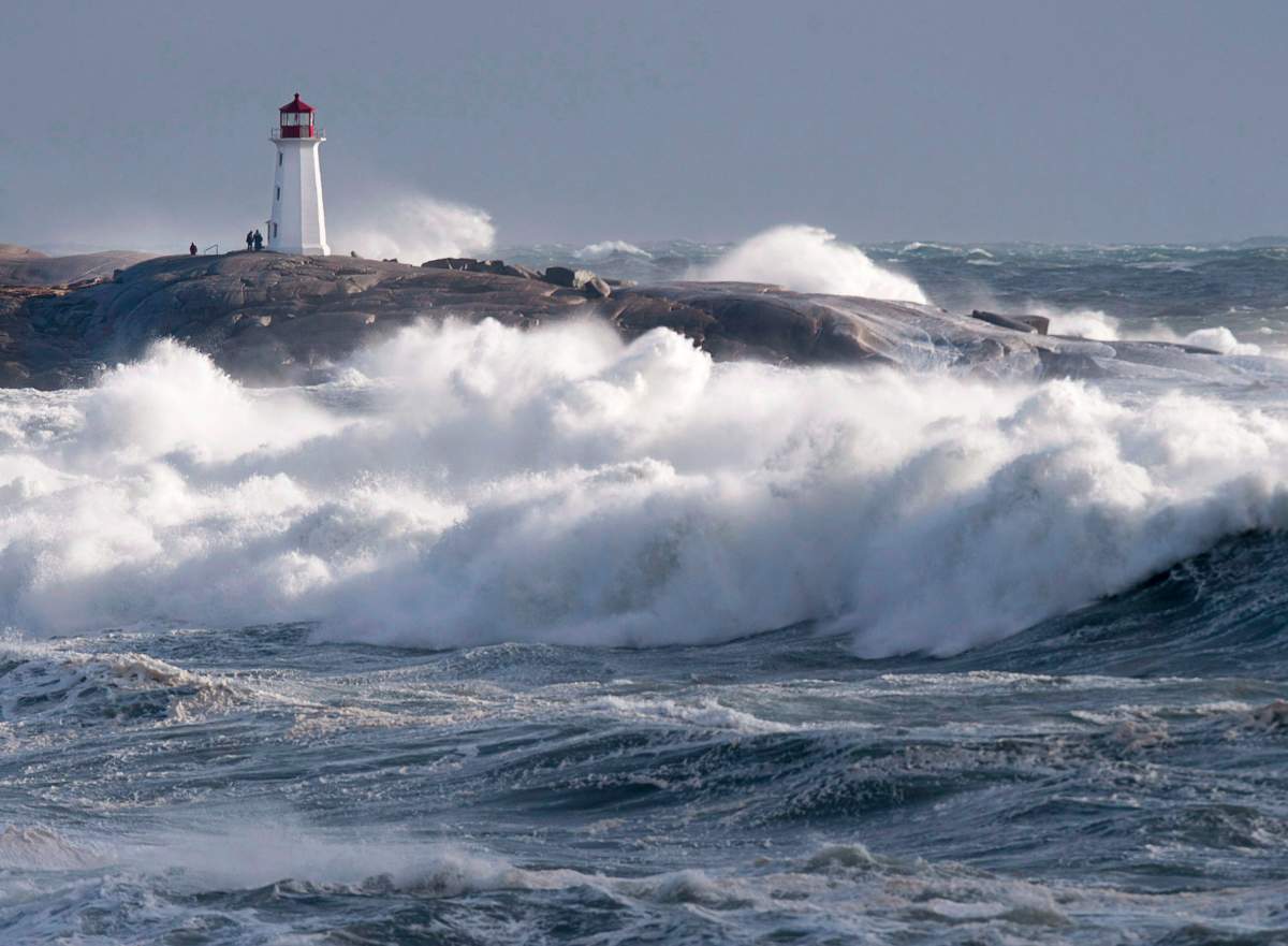 Environment Canada places New Brunswick under frost advisory - image