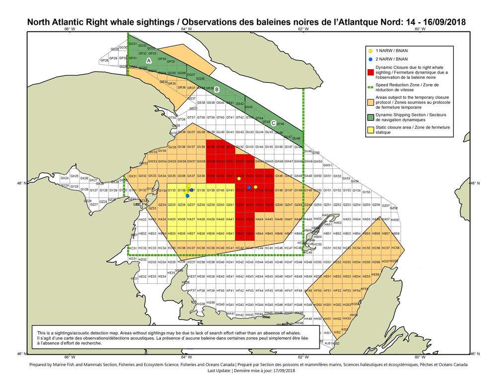 Fisheries department announces new fishery closures, openings in bid to protect Right Whales - image