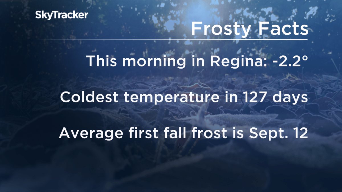 Frosty Wednesday morning across Saskatchewan, nine records broken - image